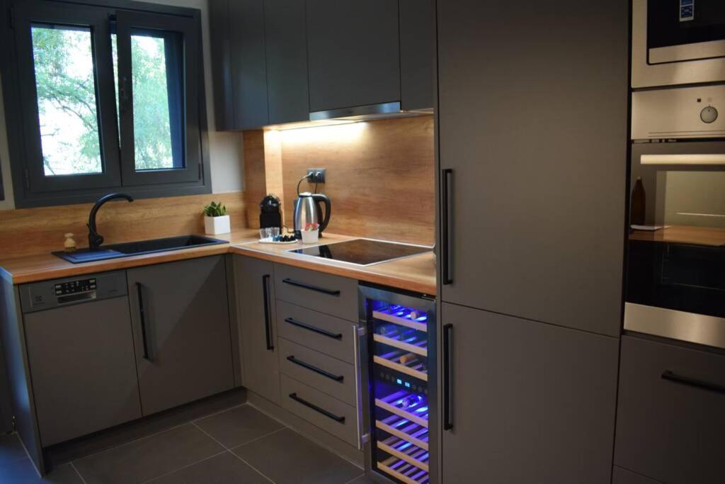 Ockto Luxurious Business Travel Apartment Athens Luaran gambar